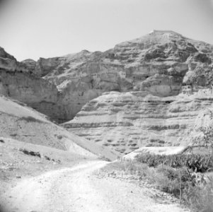 Landschap in de omgeving van Jericho. Op achtergrond de Wadi el Kelt met het St., Bestanddeelnr 255-5606