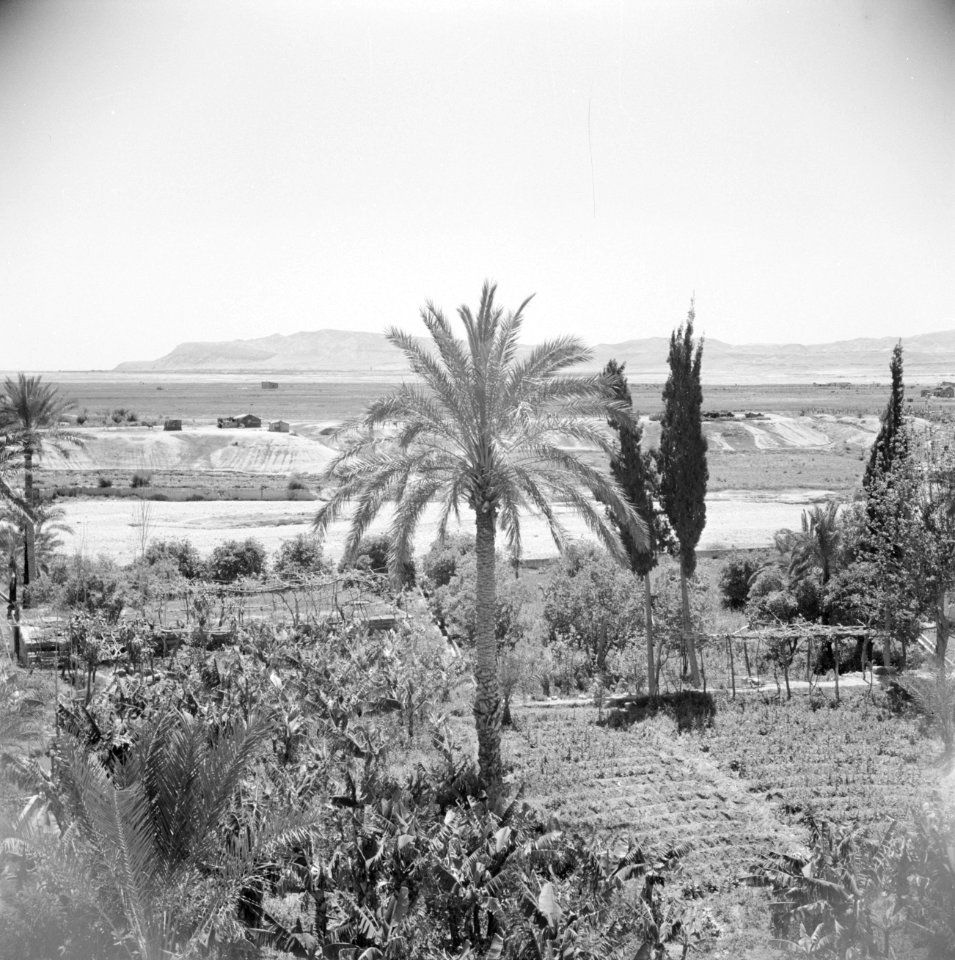 Landschap in de omgeving van Jericho. De vlakte van de Dode Zee, Bestanddeelnr 255-5614