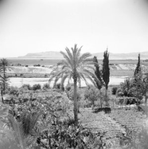 Landschap in de omgeving van Jericho. De vlakte van de Dode Zee, Bestanddeelnr 255-5614