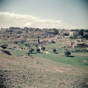 Landschap in de omgeving van Jeruzalem, Bestanddeelnr 255-9773 photo