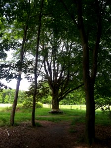Landschap in Nationaal Park Sallandse Heuvelrug (7)