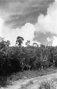 Landschap, Bestanddeelnr 182A-6-1