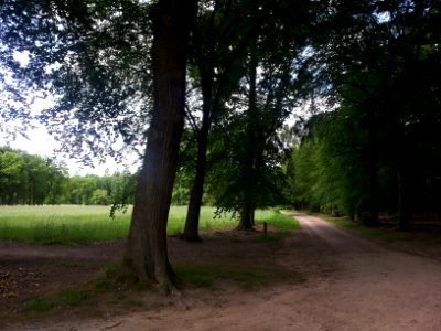 Landschap in Nationaal Park Sallandse Heuvelrug (2)