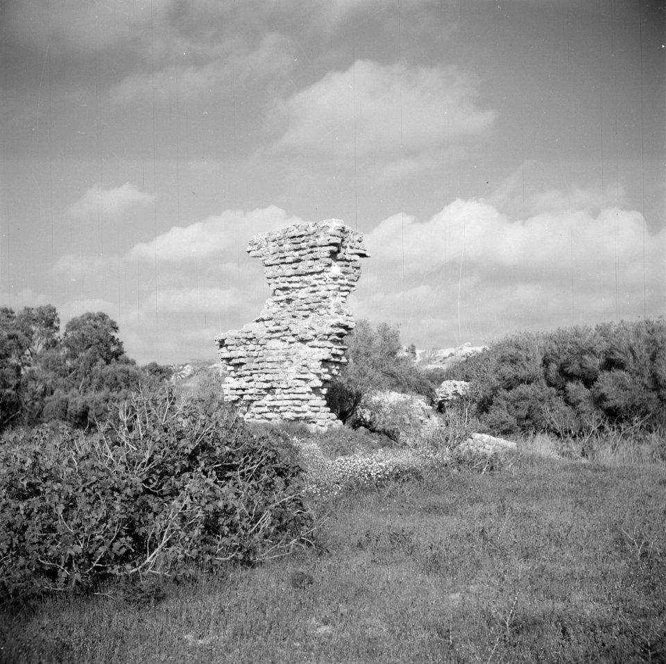 Landschap bij Askalon met archeologische muurresten, Bestanddeelnr 255-1454