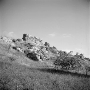 Landschap met archeologische muurresten bij Askalon, Bestanddeelnr 255-1458