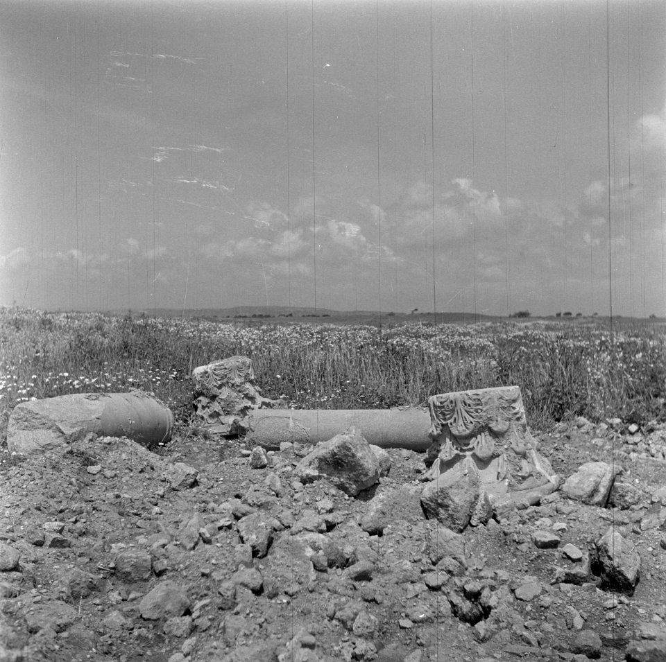 Landschap bij Caesarea met archelogische resten waaronder delen van zuilen, Bestanddeelnr 255-1485