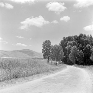 Landschap in Galilea met aan de horizon een berg, door de fotograaf aangeduid al, Bestanddeelnr 255-0824