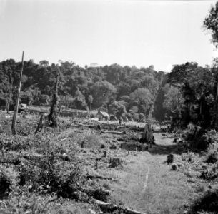 Landschap bij Brokopondo met boslandcreooldorp, Bestanddeelnr 252-5132