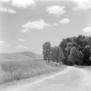 Landschap in Galilea met aan de horizon een berg, door de fotograaf aangeduid al, Bestanddeelnr 255-0823