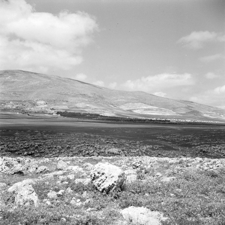Landschap langs de weg van Ramallah naar Nablus, Bestanddeelnr 255-5563