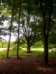 Landschap in Nationaal Park Sallandse Heuvelrug (8)