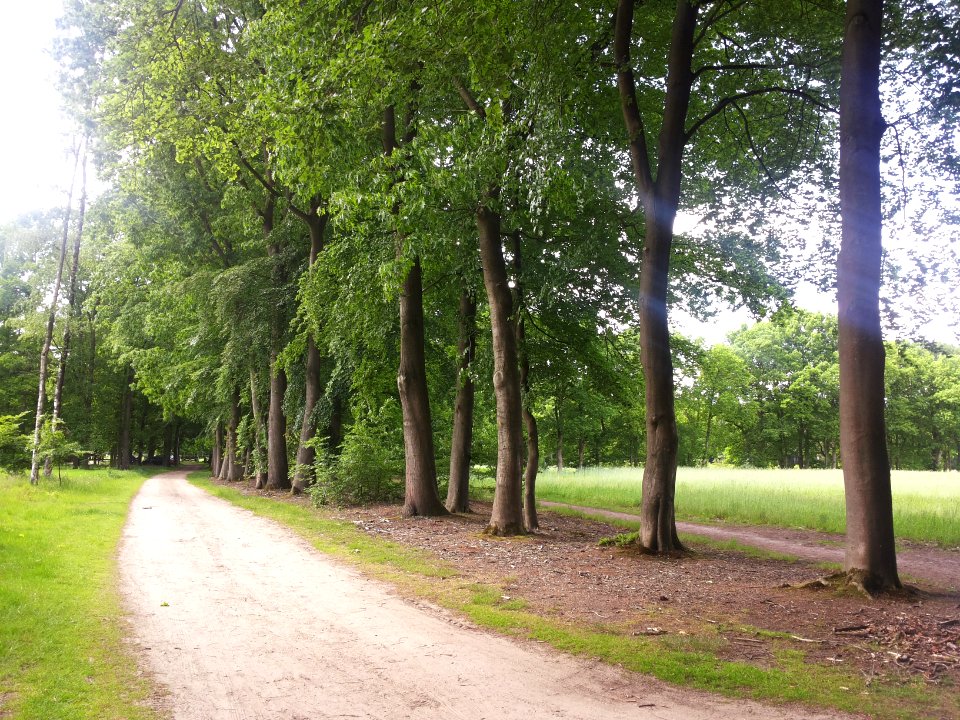 Landschap in Nationaal Park Sallandse Heuvelrug (1)