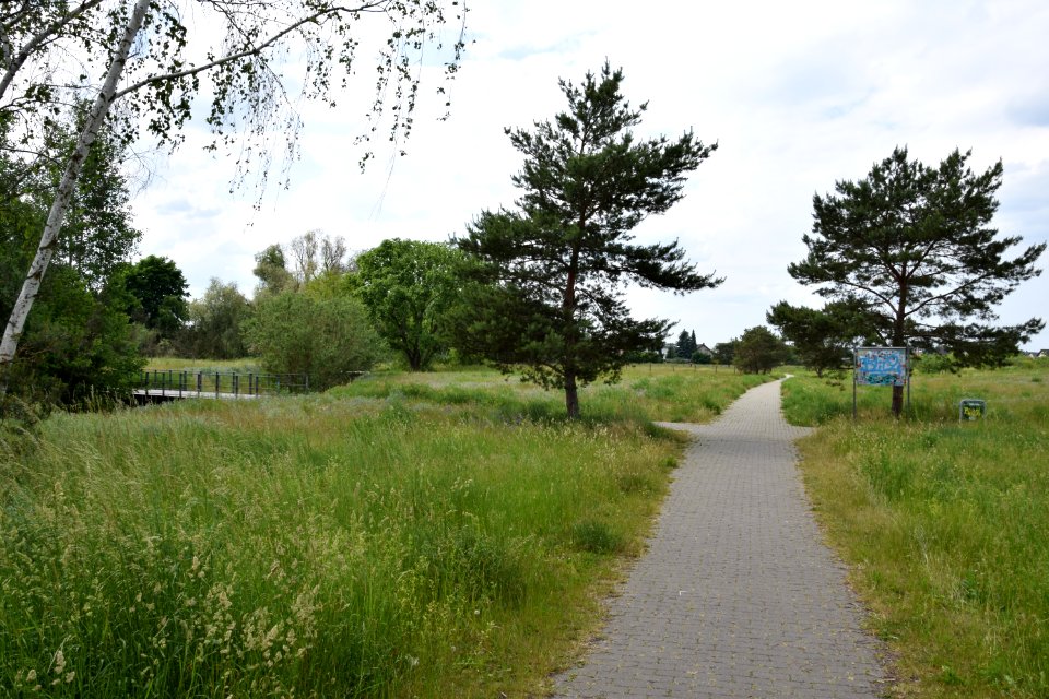 Landschaftspark am Gehrensee (Berlin-Falkenberg) 1v4