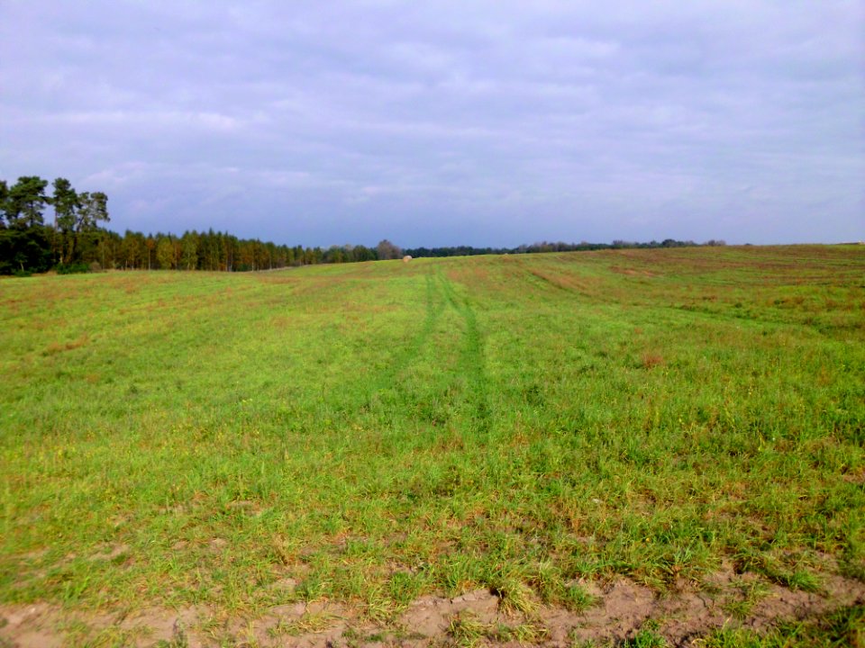 Landschaft Töplitz 2