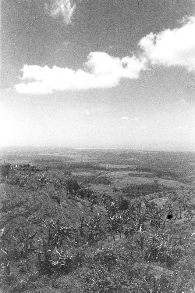 Landschap. Panorama, Bestanddeelnr 330-3-2