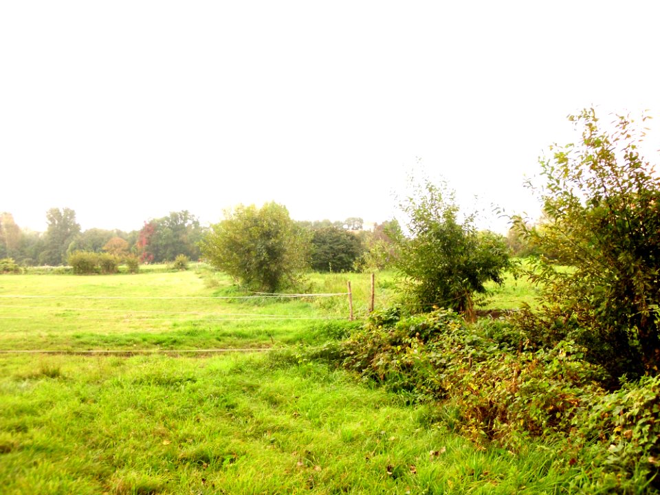 Landschaft Nattwerder 1
