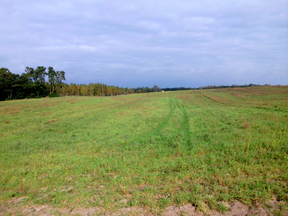 Landschaft Töplitz 3