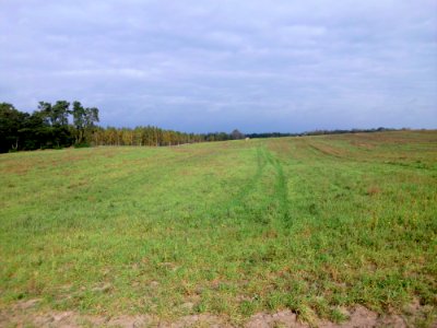 Landschaft Töplitz 3