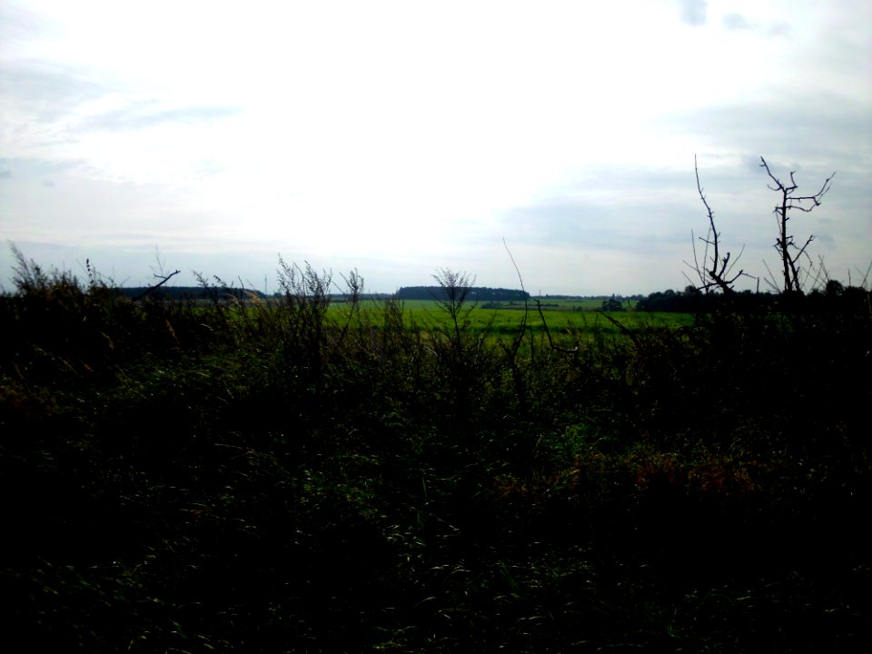 Landschaft Töplitz 1
