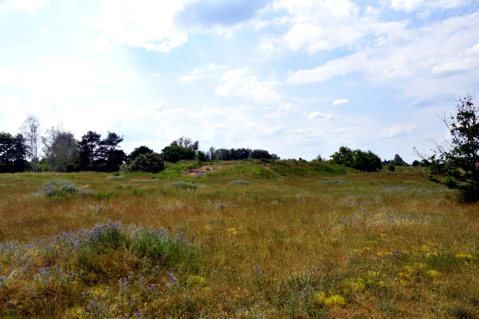 Landschaftspark am Gehrensee (Berlin-Falkenberg) 2v4