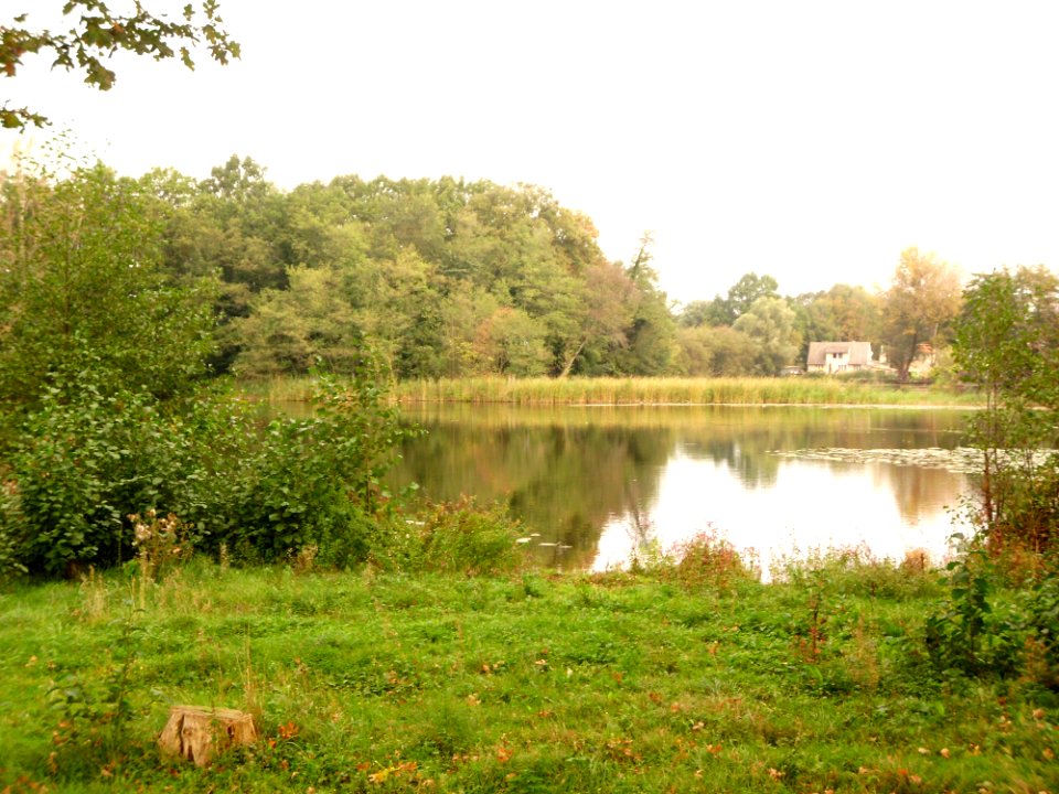 Landschaft Grube 1