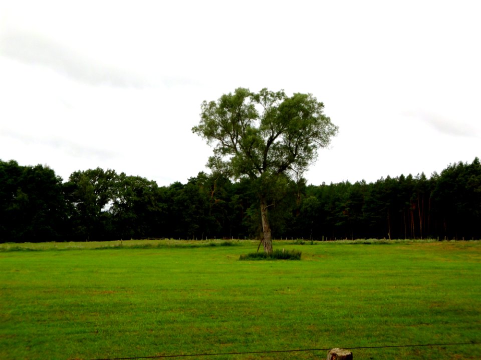 Landschaft lübzow 1