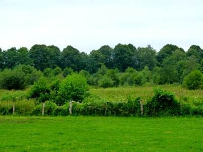 Landschaft bei Bad Segeberg