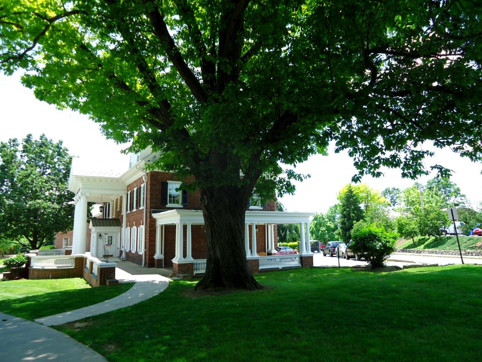 Lafayette College Easton PA 13 beautiful tree