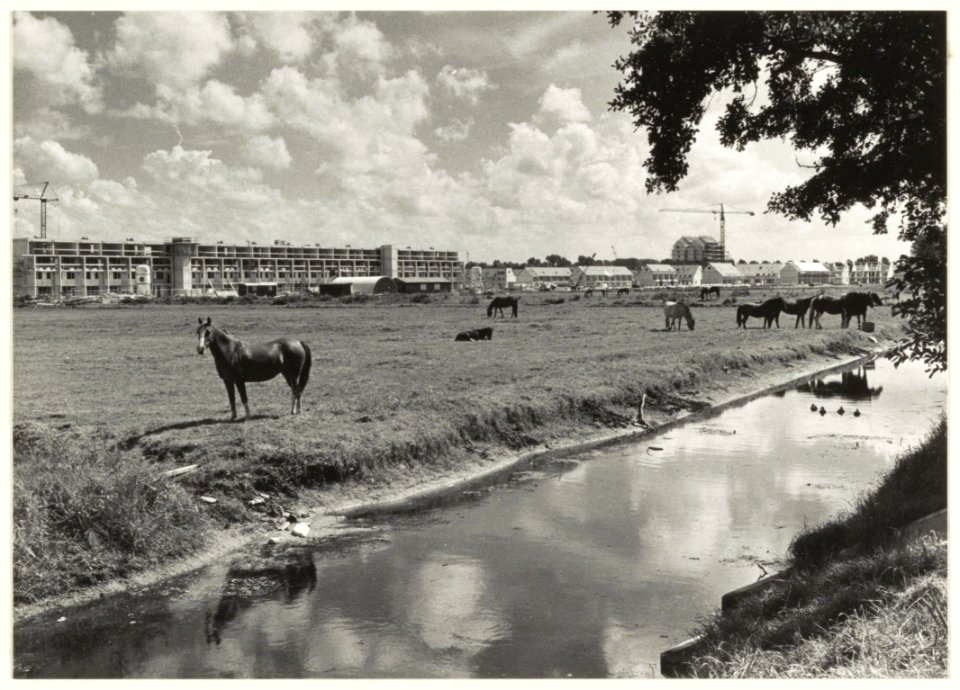 Landelijk beeld van de Zuiderpolder, met oprukkende nieuwbouw. Links de appartementen in aanbouw aan de Charta 77 Vaart., NL-HlmNHA 54023509