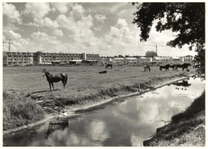 Landelijk beeld van de Zuiderpolder, met oprukkende nieuwbouw. Links de appartementen in aanbouw aan de Charta 77 Vaart., NL-HlmNHA 54023509