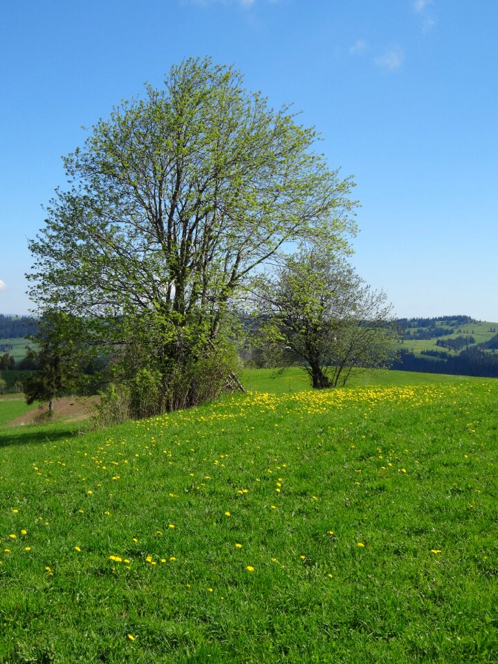 Landscape poland polyana