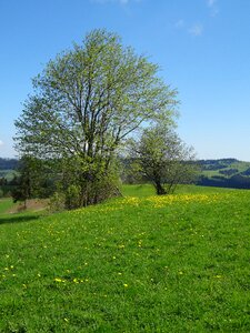 Landscape poland polyana photo