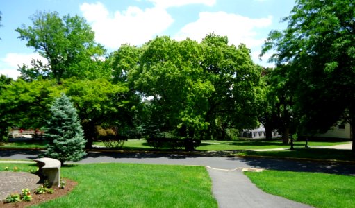 Lafayette College Easton PA 30 campus view