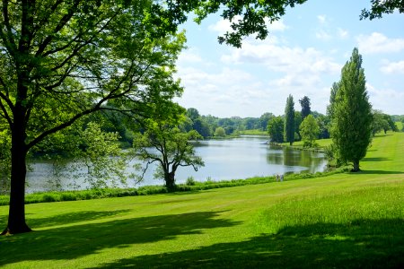 Lake and field - Bowood - Wiltshire, England - DSC00468