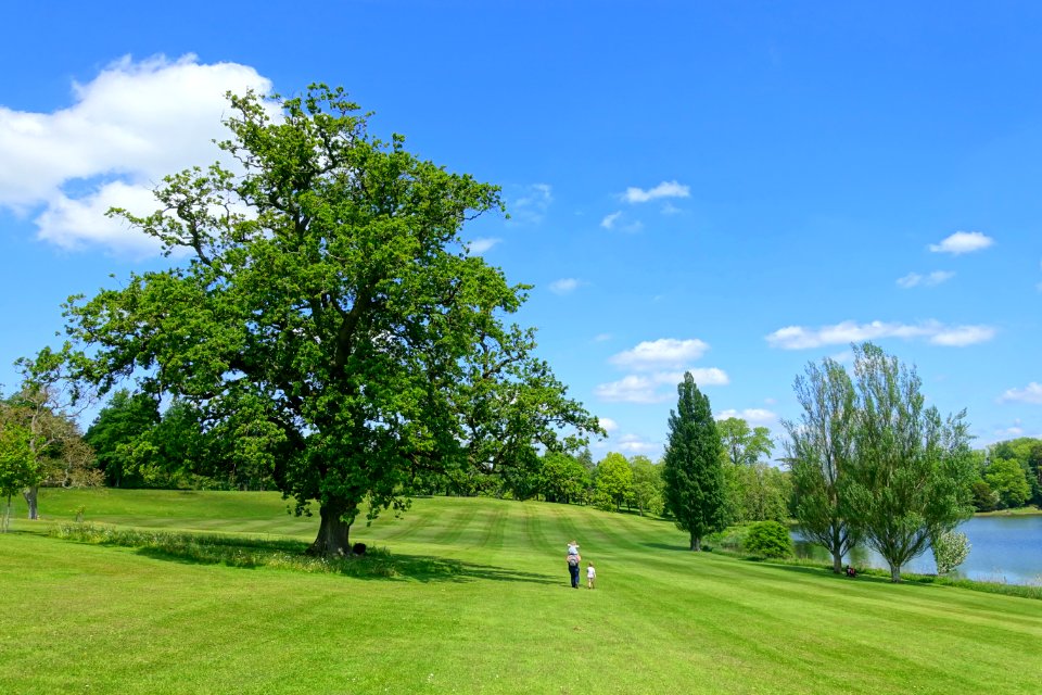 Lake and field - Bowood - Wiltshire, England - DSC00630