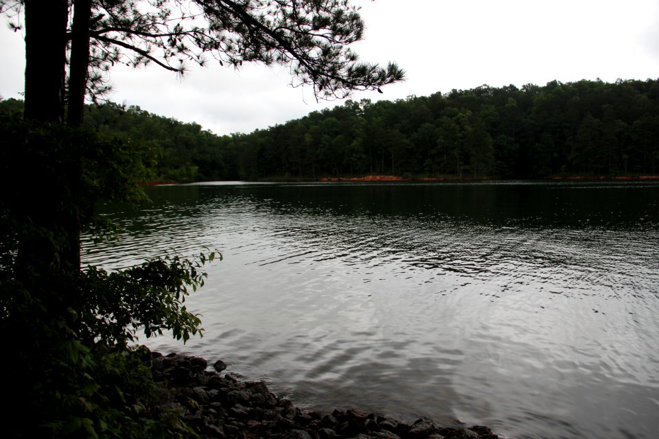 Lake Allatoona from Cooper Branch Day Use Parks, May 2018 1