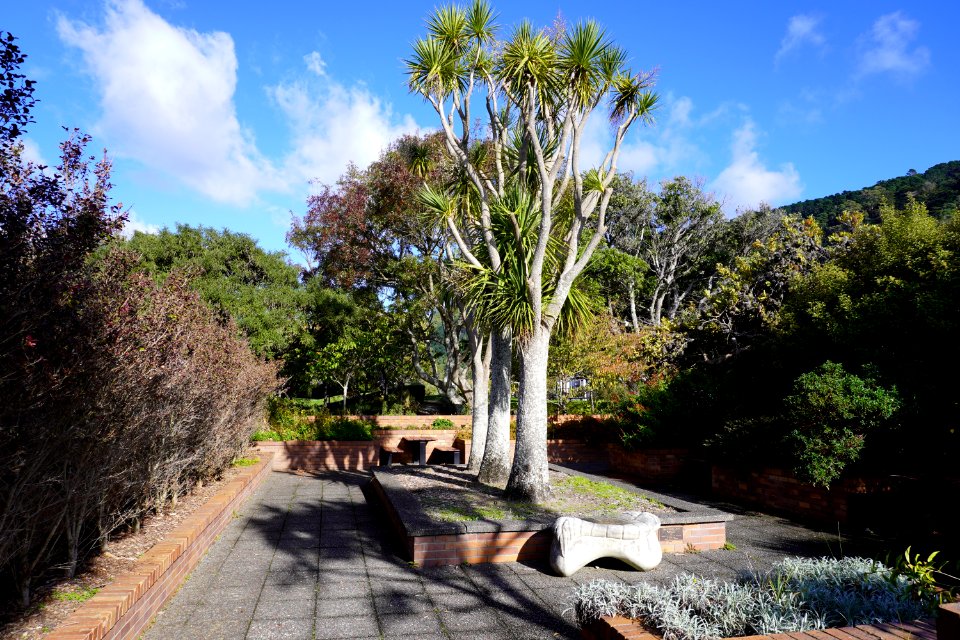 Lady McKenzie Garden for the Blind - Seating area 2