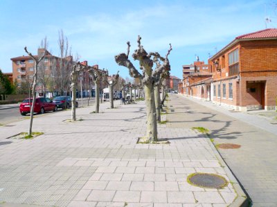 Laguna de Duero - Avenida de Madrid 4
