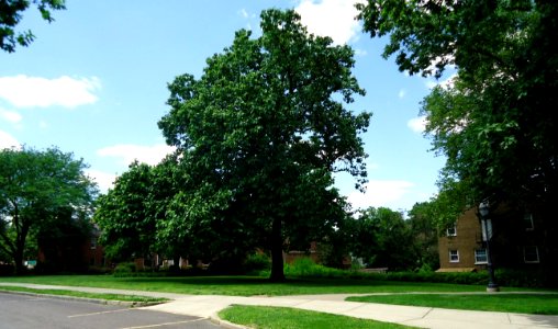 Lafayette College Easton PA 56 campus view