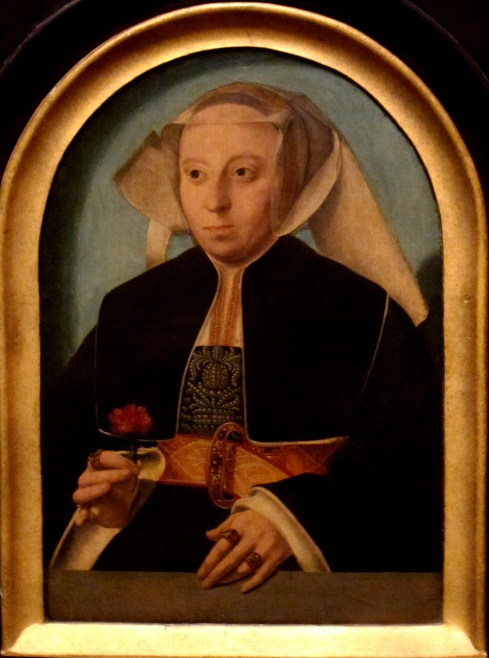 Lady with a Carnation by Bartholomaeus Bruyn the Elder, San Diego Museum of Art