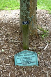 Lady Stamp - Dawes Arboretum plaque - DSC02878