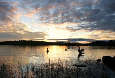 Water nature evening photo