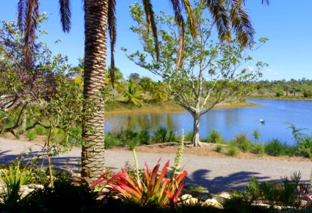 Lake - Naples Botanical Garden - Naples, Florida - DSC09949
