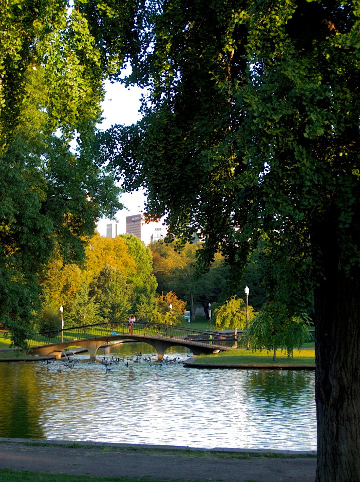 Lake Elizabeth, West Park, North Side, Pittsburgh 2019-09-09 01