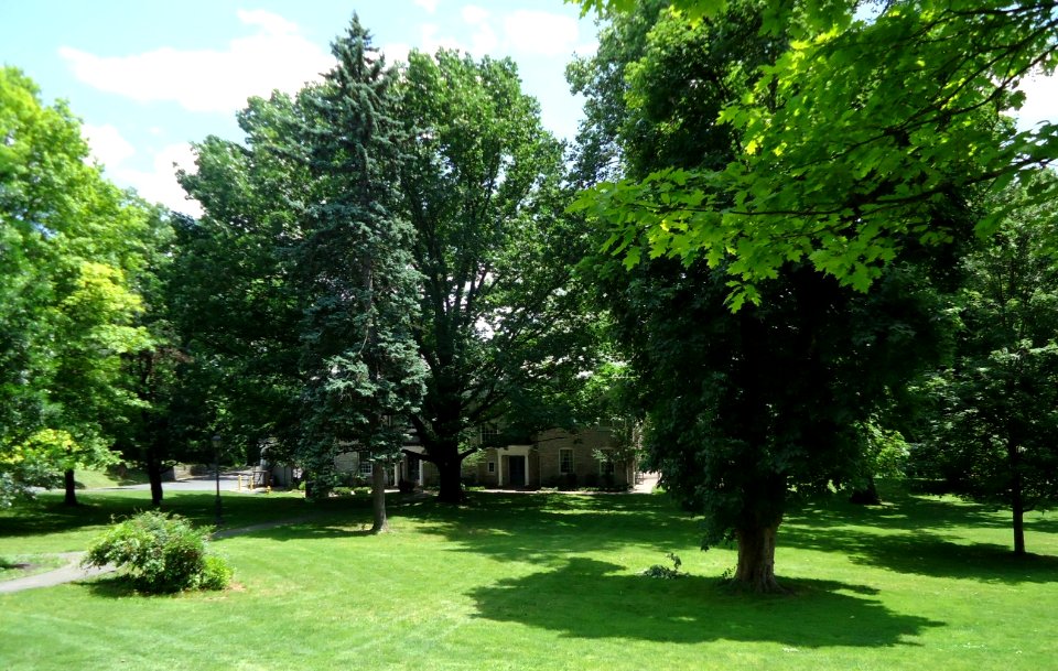 Lafayette College Easton PA 44 campus view