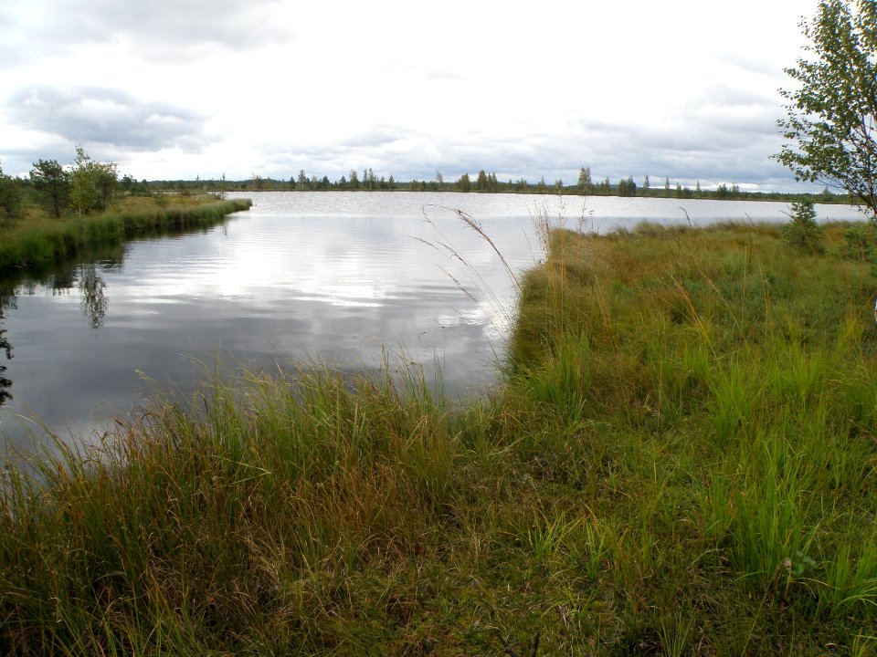 Lake Chernoye (Ivanishchi)
