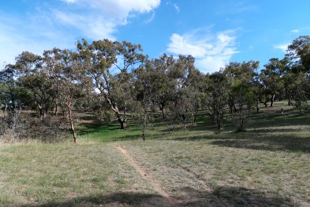 Lake Burley Griffin view from between Blue Gum Point and Attunga Point 016