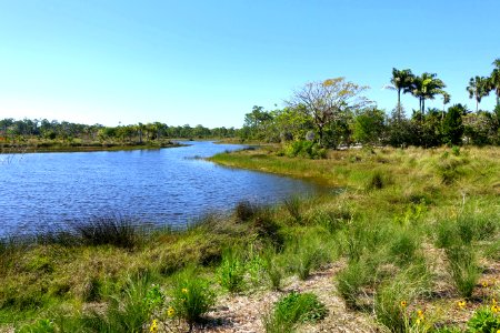 Lake - Naples Botanical Garden - Naples, Florida - DSC09967