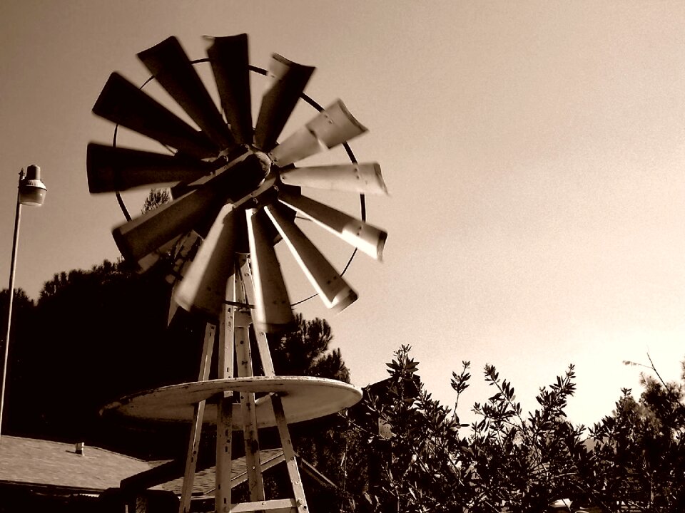Farm farming windy