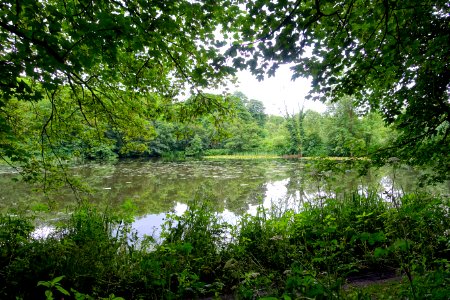 Lake, Renishaw Hall - Derbyshire, England - DSC02347